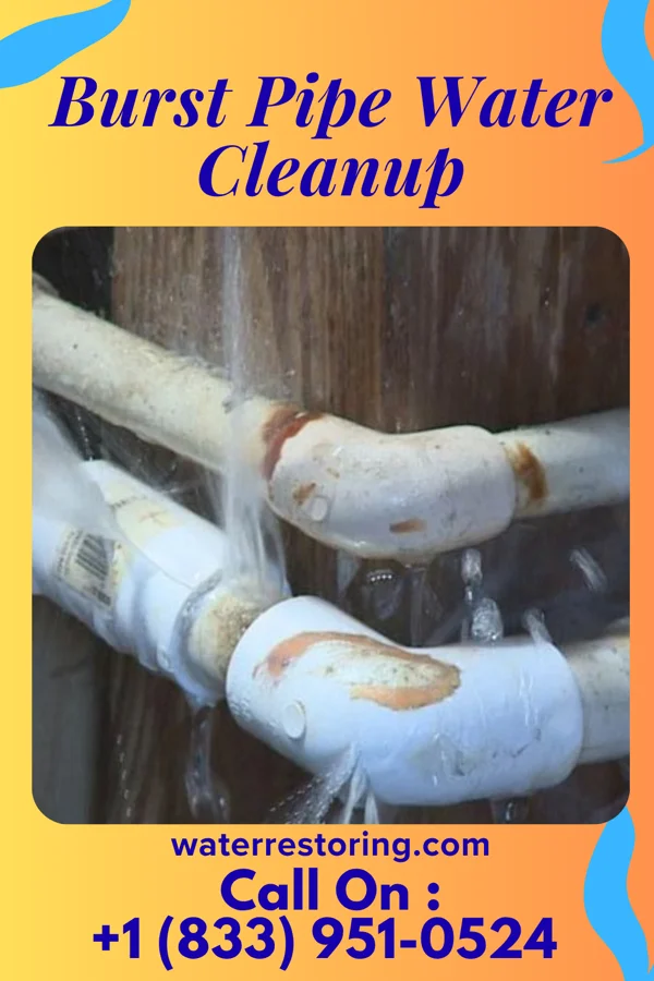 Burst Pipe Water Cleanup in Kitzmiller, MD