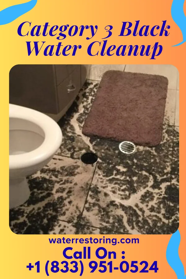 Category 3 Black Water Cleanup in Kitzmiller, MD