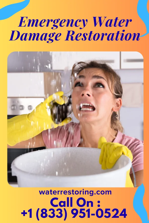 Emergency Water Damage Restoration in Kitzmiller, MD