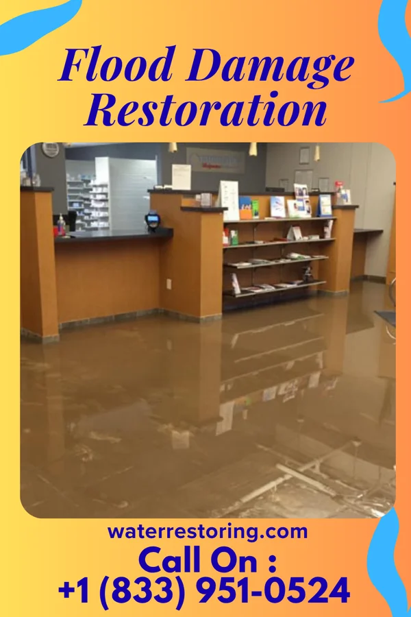 Flood Damage Restoration in Kitzmiller, MD