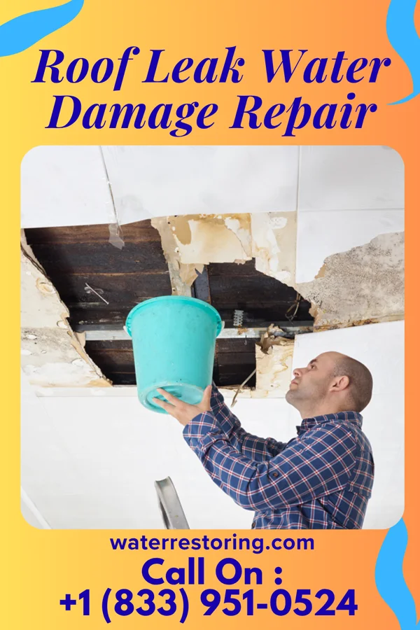 Roof Leak Water Damage Repair in Kitzmiller, MD