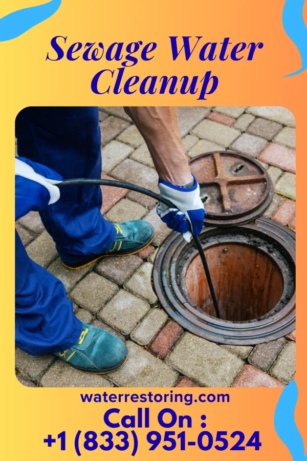 Sewage Water Cleanup in Kitzmiller, MD